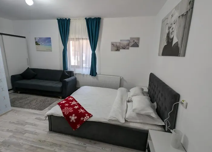 Cazare La Piatra Buhei Câmpulung Moldovenesc